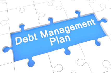 debt management research paper pdf